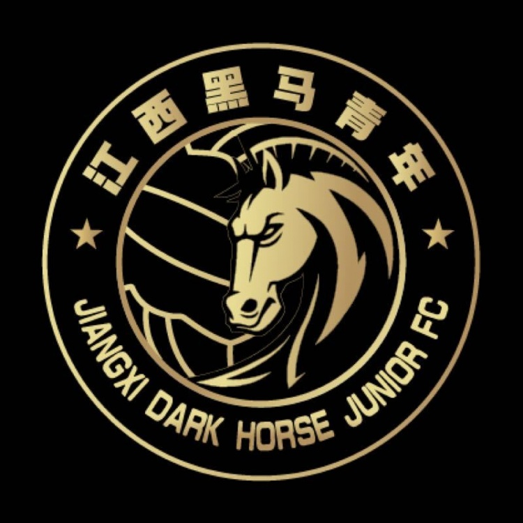  官方：江西黑馬青年完成異地遷移程序，更名為溫州職業(yè)足球俱樂部
